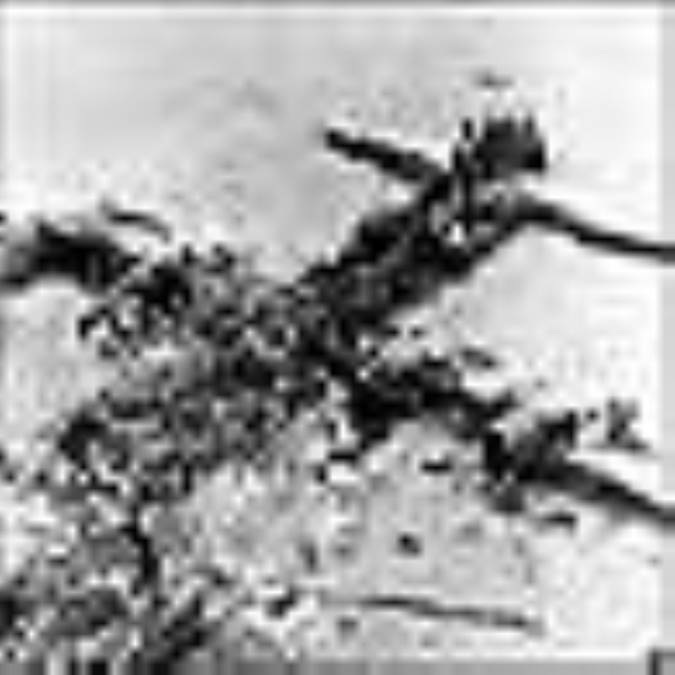 نگاهی به توطئه‏های دشمنان انقلاب اسلامی و امدادهای غیبی