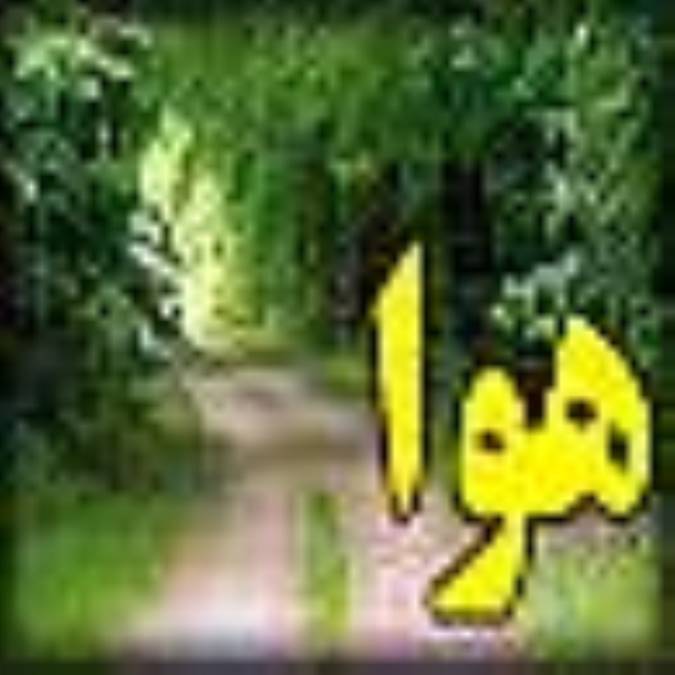 هوا