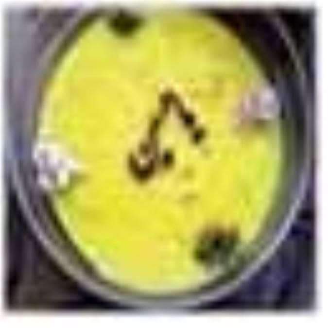 شله زرد 