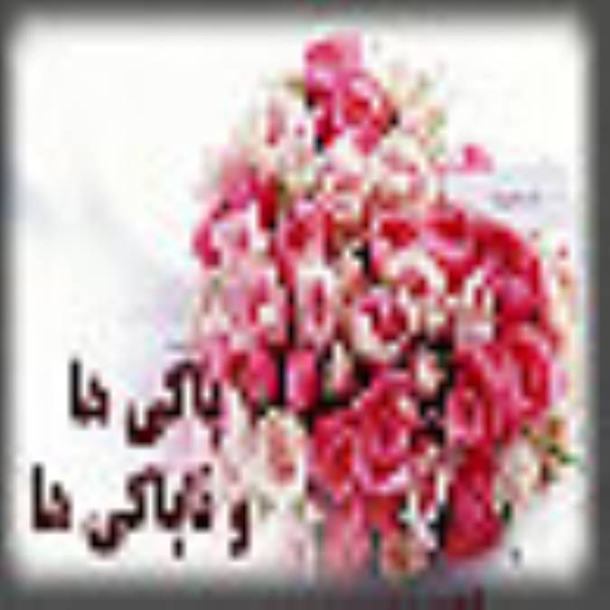 پاکي و ناپاکي ها 