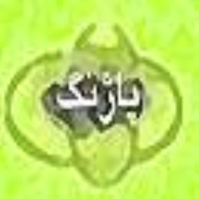 ماهنامه پاژنگ