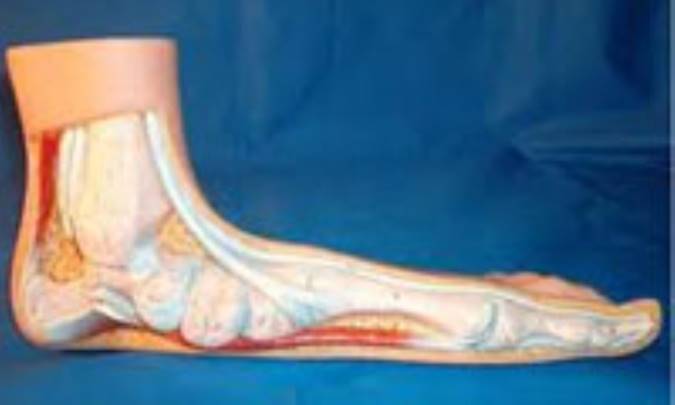 نسخه‌اي شفاف براي کف پاي صاف