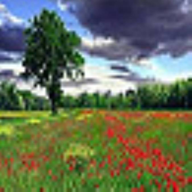 سرزمین مردمان‌بی‌ریا