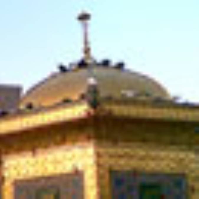 فلسفه كبوتران كعبه و حرم ائمه علیهم السلام 