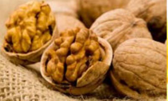 کالری‌های موجود در گردو