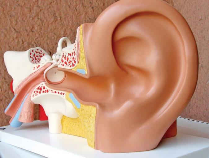 آنچه درباره جرم گیری گوش باید بدانید