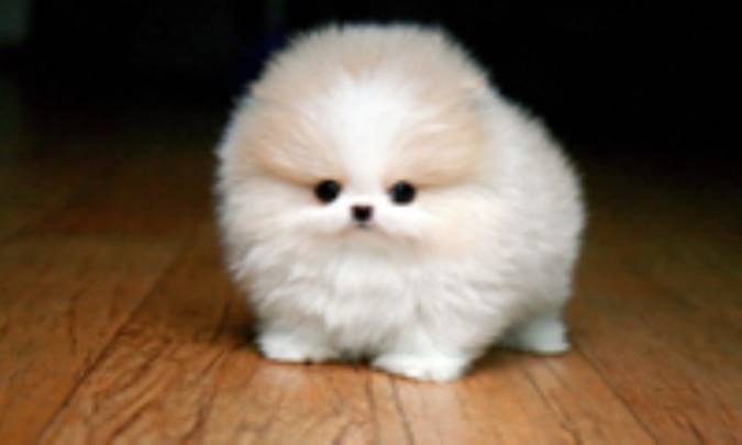 حد خود را بدان