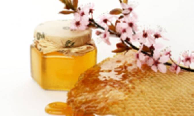 هنری تنبل