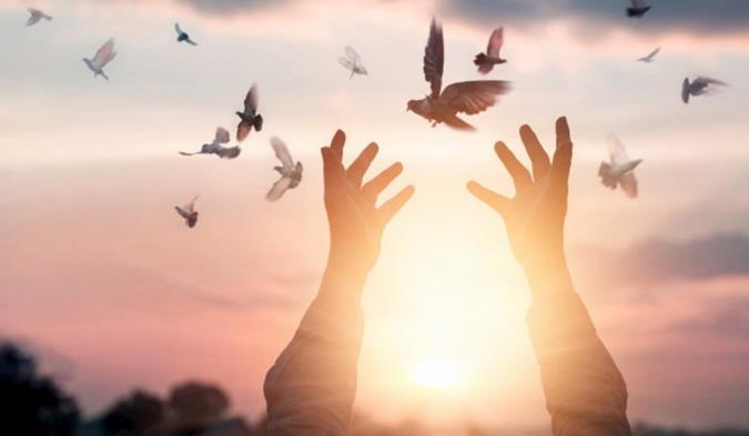 تمام آنچه حضرت ابراهیم خواست