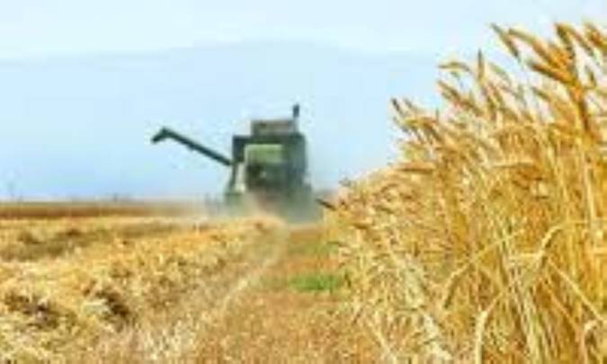 نگاه عمیق به فواید مختلف کشاورزی ارگانیک