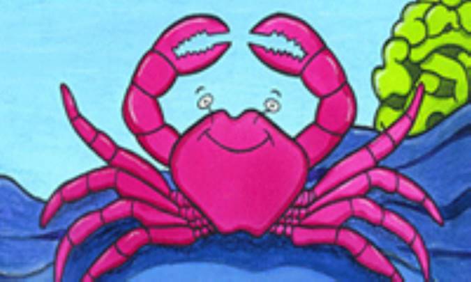 چرا خرچنگ سر ندارد؟