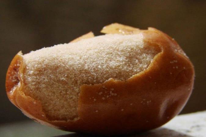 سنجد سرد است یا گرم؟