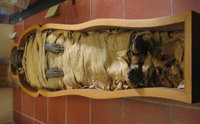 مومیایی‌ها