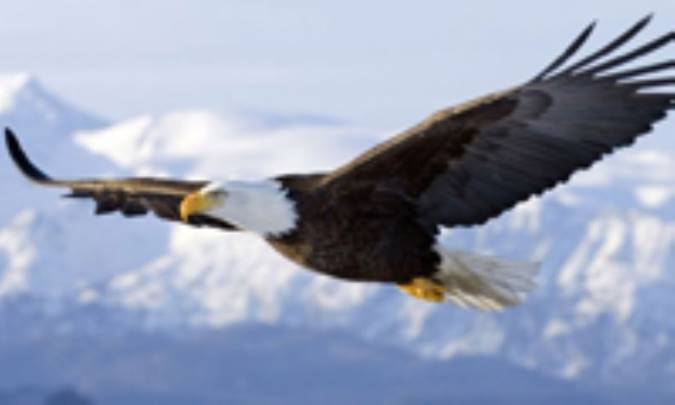 پاداش محبّت