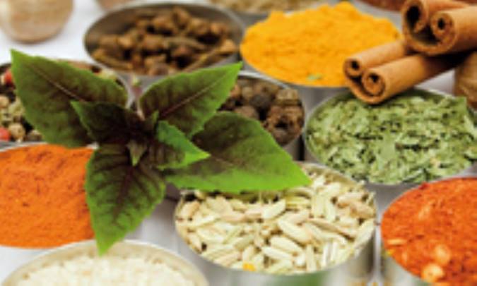 پزشکی سنتی در نظم فارسی