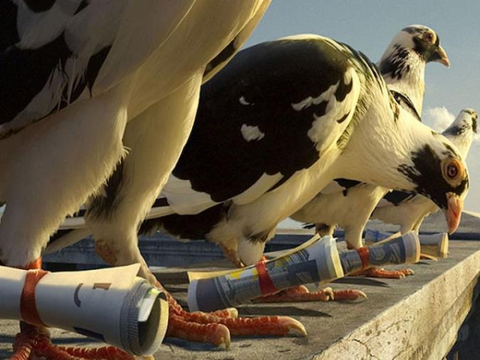 در ستایش کبوترها