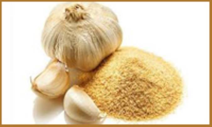 چگونگی تهیه‌ی پودر سیر