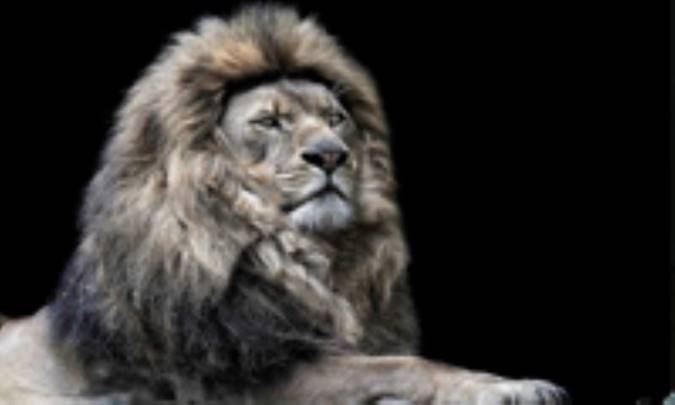 راه يک طرفه