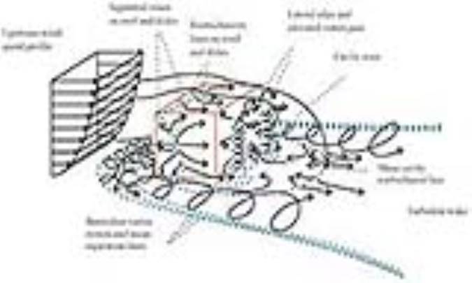 اثر رانک ‌ـ هیلش