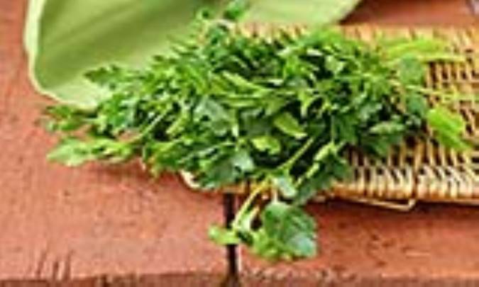 فوائد روغن جعفری