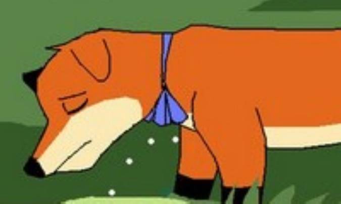 روباه قالی باف