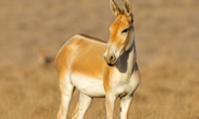  سزاي خودخواهي