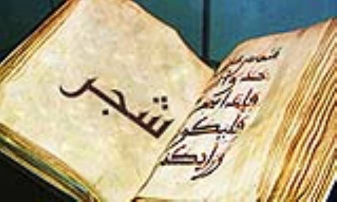 واژه‌ی شجر در قرآن 