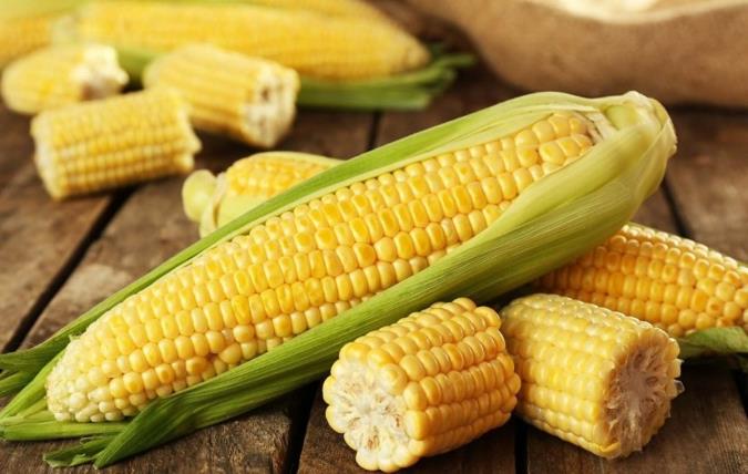 کالری ذرت چقدر است؟ + ارزش غذایی