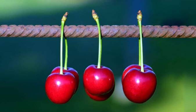 ۱۲ دلیل مهم برای مصرف گیلاس و آلبالو