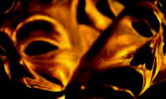 بیماری های روان پزشکی؛ افسانه ها و واقعیت ها