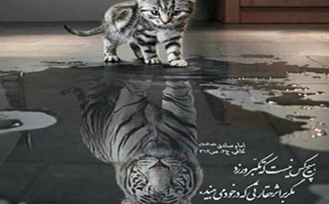 راهکارهای درمان تکبر