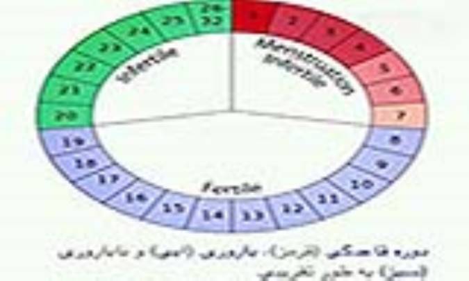 چیزهایی که باید درباره ترشح واژن در زمان تخمک‌گذاری بدانید