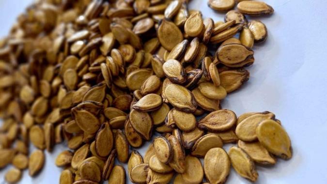 کالری تخمه هندوانه چقدر است؟ + ارزش غذایی