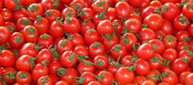 کالری گوجه فرنگی چقدر است؟ + ارزش غذایی