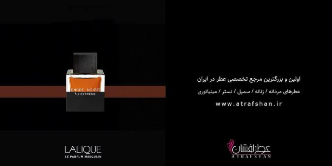 ورساچه و لالیک دو برند بسیار موفق برای عطر مردانه و زنانه