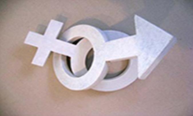 الثقافة الجنسیة