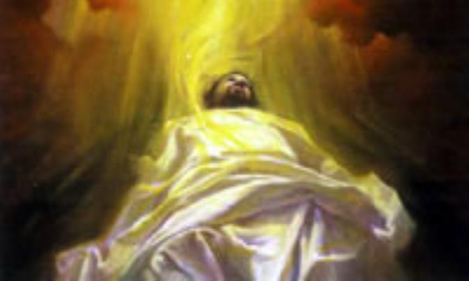 ثقافة الرجعة