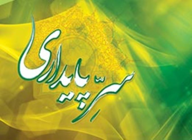 سر پایداری