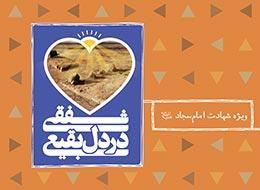 کتاب ، شفقی در دل بقیع