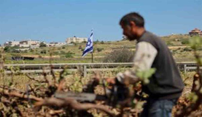 اوباش صهیونیست خودروی کشاورزان فلسطینی را آتش زدند