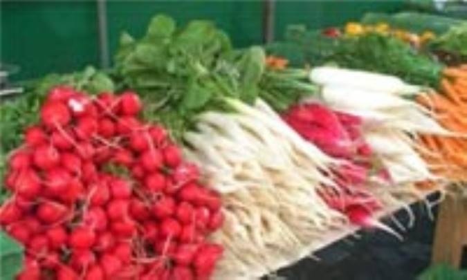 مصرف منظم سبزی به کنترل کالری کمک می‌کند