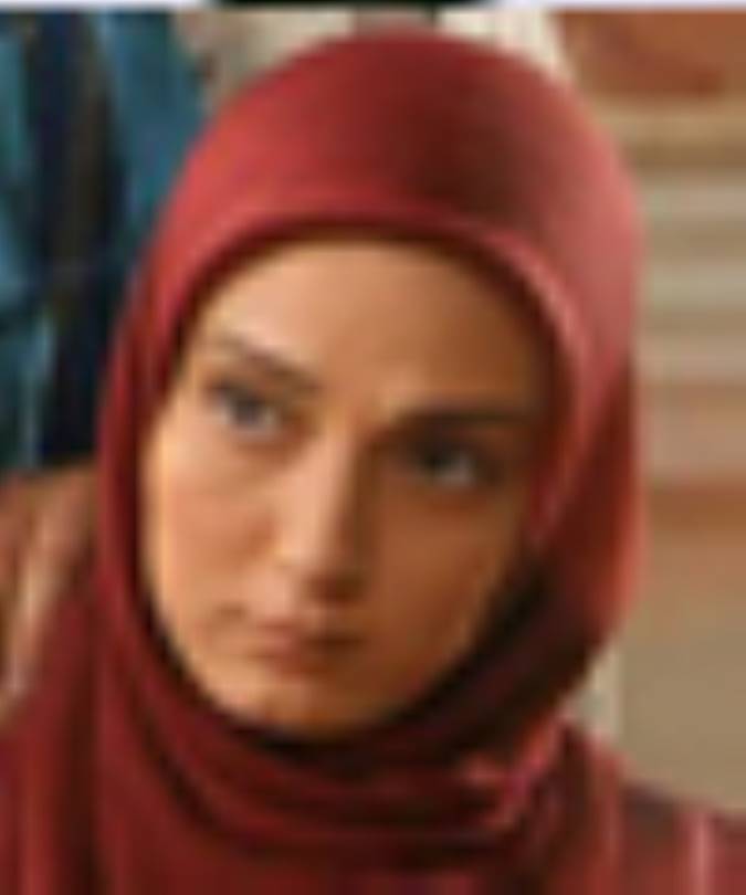 بيوگرافي هنرمندان سريال دلنوازان