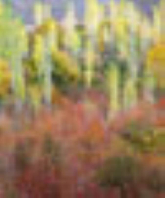 پاييز زیبای کردستان