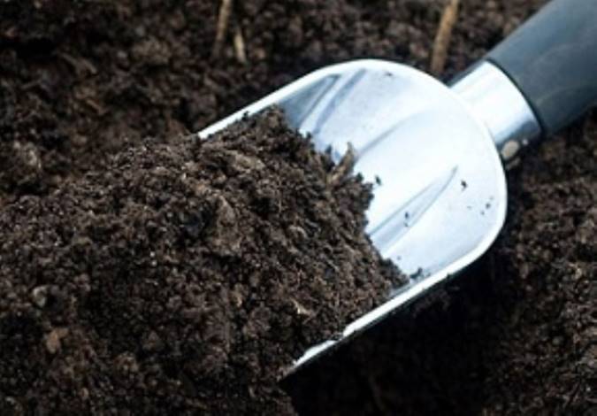 انباشت عظیم «کود انسانی» در جنوب تهران + فیلم