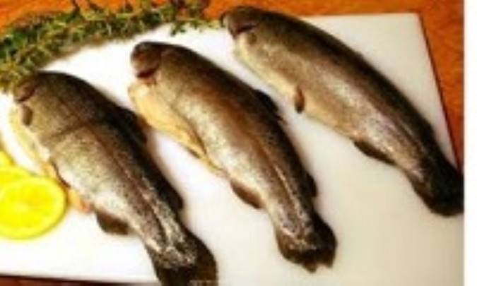 درمان "رماتیسم مفصلی" با مصرف ماهی آزاد