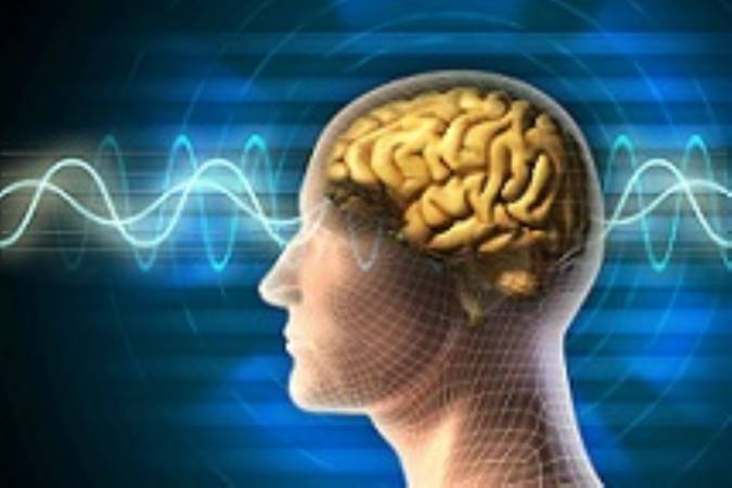 براساس تحقیقات جدید، امواج تلفن همراه باعث تومور مغزی می‌شوند