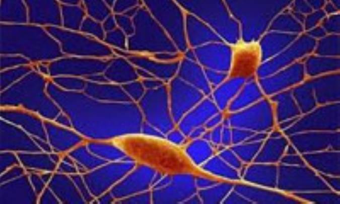 کم خوابی منشأ بسیاری از اختلالات عصبی است