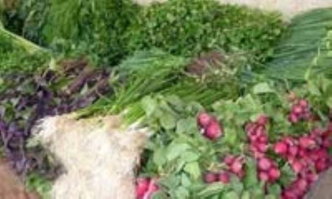  فواید مصرف انواع سبزی