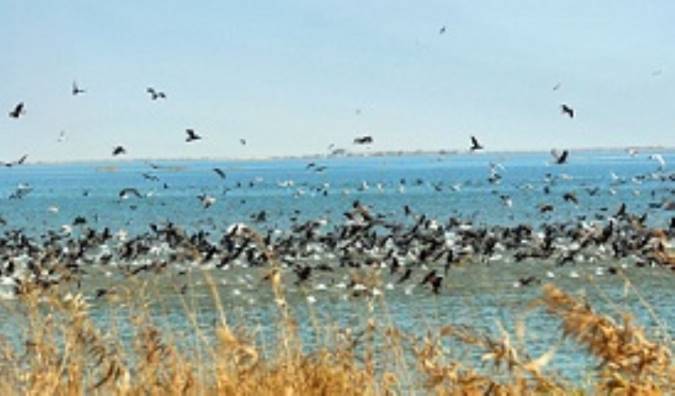 احیای بسیاری از تالاب‌های خشک‌شده کشور/۷۰ درصد سدهای کشور پر شد