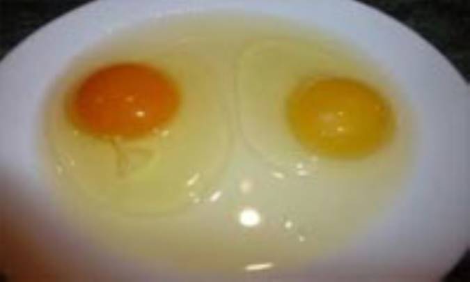 زرده تخم‌مرغ به بینایی شما کمک می‌کند